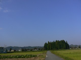 青空1