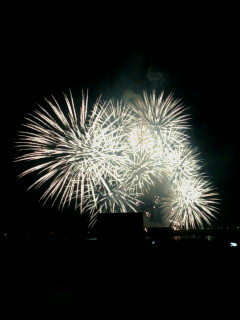 20100806202942.jpg