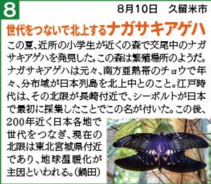 8月、世代をつないで北上するナガサキアゲハ | blog筑後川新聞-2