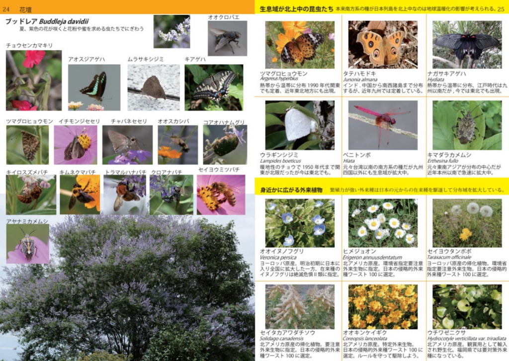 高良川の昆虫と植物図鑑」を発行しました | blog筑後川新聞-2