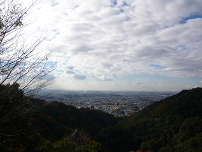 ¹ÈÍÕ¡Ȩ̂ÌÌ¡Ã2010ǯ¡Ë