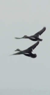 20130201152535(10).jpg