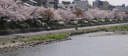 DSC03676.JPG