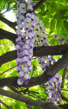 DSC03787.JPG