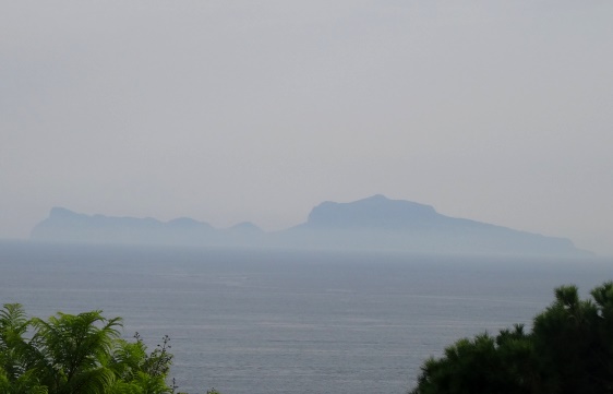 DSC06165.JPG