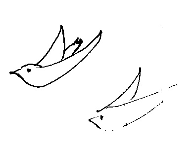 コトリラボ 小鳥研究室