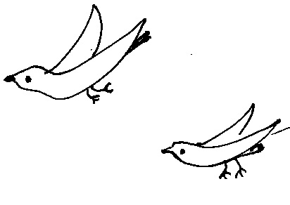 コトリラボ 小鳥研究室
