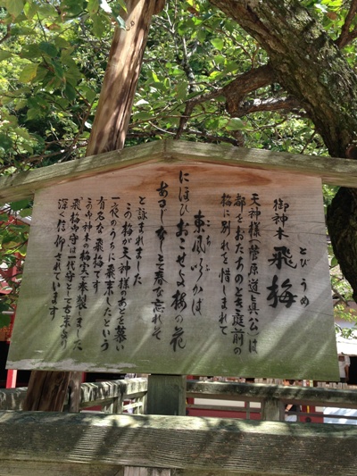 太宰府 飛梅 コトリラボ.jpg
