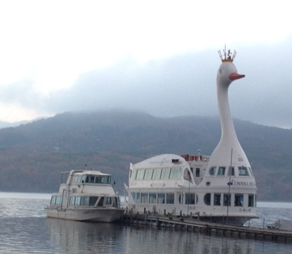 白鳥の湖 山中湖.jpg