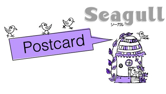 seagull 2.jpg