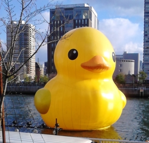ラバーダック.jpg