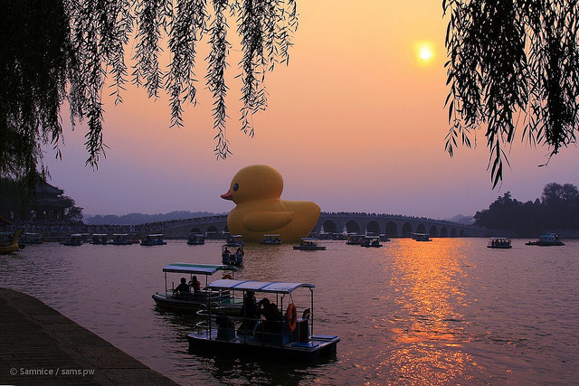 duck-w-2013beijing2_mini.jpg