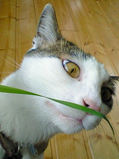 201005111429000.jpg