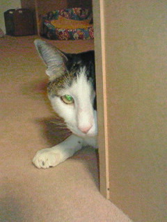 201106152006000.jpg