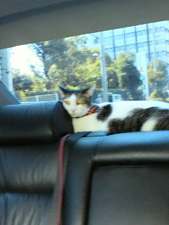 2013102013400000.jpg