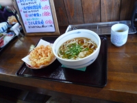 桜えびうどん