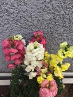 IMG_4025.JPG