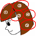 ȱ¤ÎŤµ