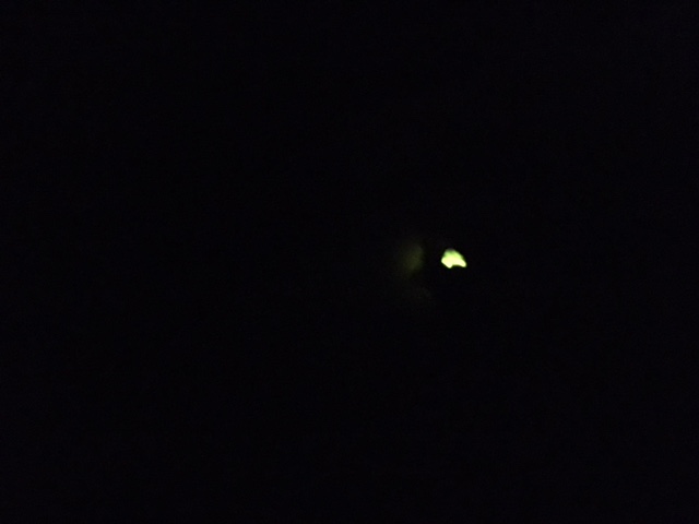 image1.JPG