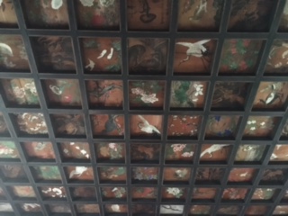 image1.JPG