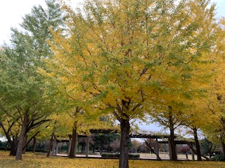 image0.jpeg