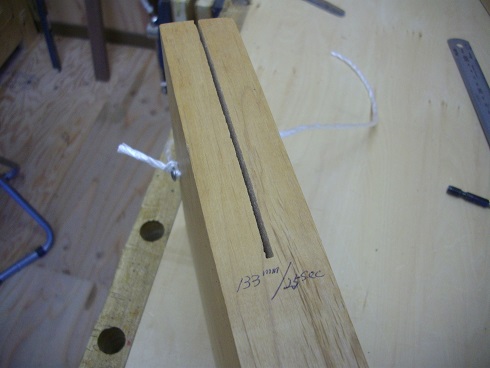 IMGP4796.JPG