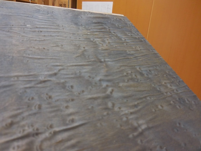 DSCN0050.JPG