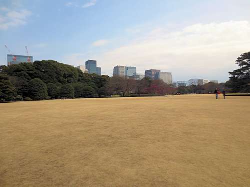 庭園