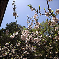 04nagaragawa01