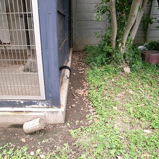 クモザル2