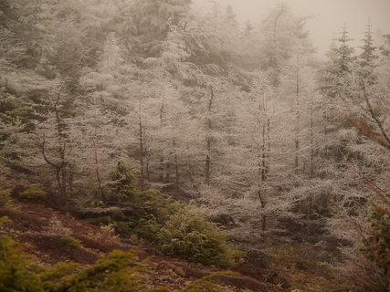 ¹õÈû³20120511¡