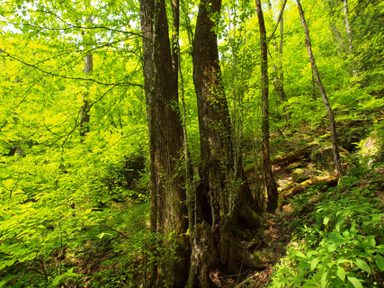 20120527ξ¿À»³£³