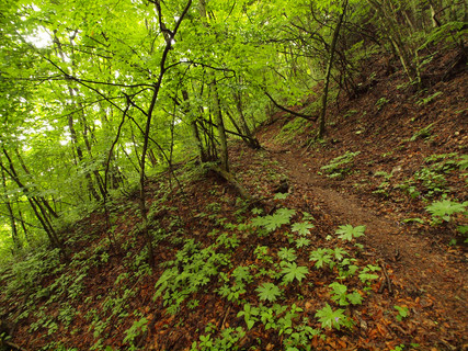 ÆàÎÉÁÒÄῲ20120610¡