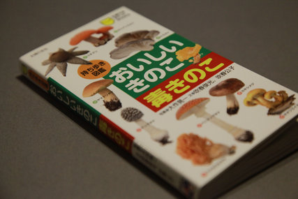 おいしいきのこ毒きのこ