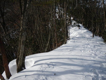 蕨山2