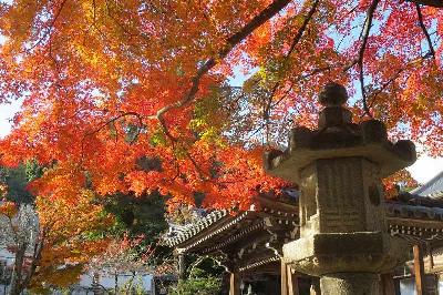 西教寺 近江社中