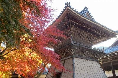 西教寺 近江社中