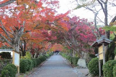 西教寺 近江社中