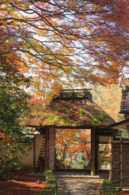 安楽寺 近江社中
