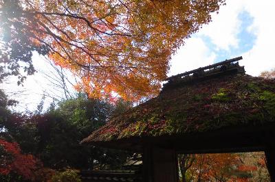 安楽寺