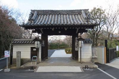 青不動 青蓮院門跡 近江社中 将軍塚