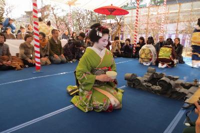 梅花祭 舞妓 近江社中