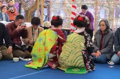梅花祭 舞妓 近江社中