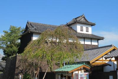 掛川城