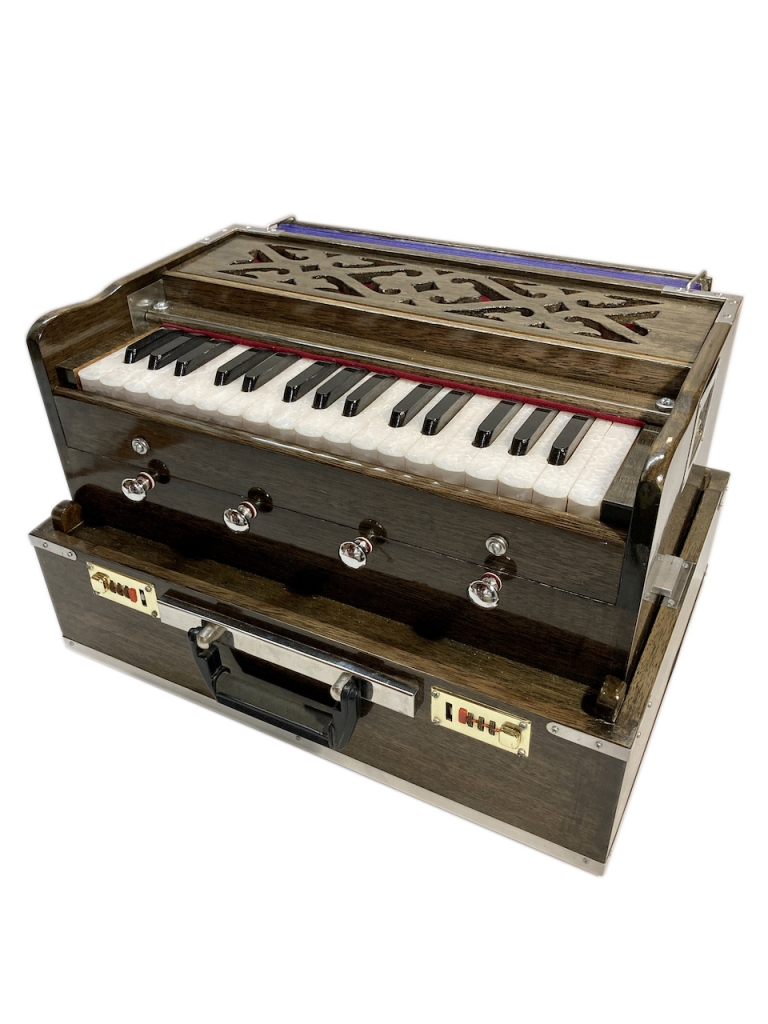 鍵盤楽器 Holocene NLMM Holocene Electronics Non-Linear