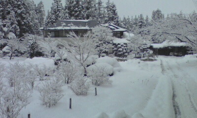 100113_0936~01.jpg