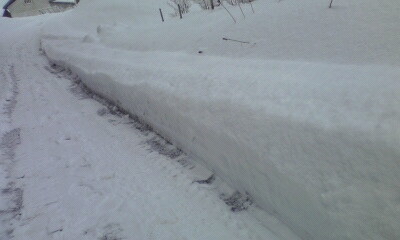 100113_0937~01.jpg