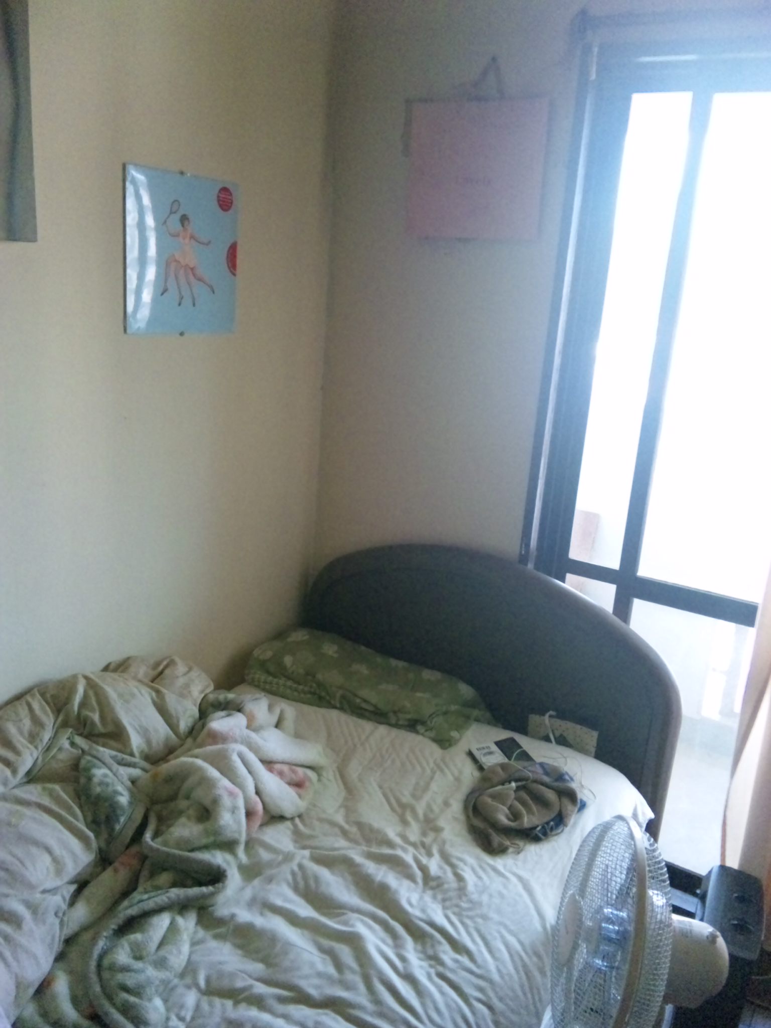 090829_1426481.jpg