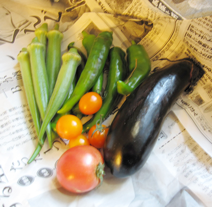 晴苗農園の野菜たち