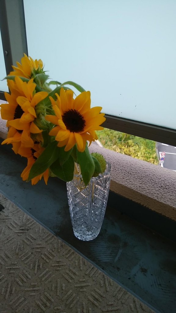 IMG_20181008_161247.jpg
